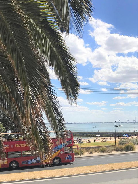 Beach Front Beauty - Accommodation BNB 23