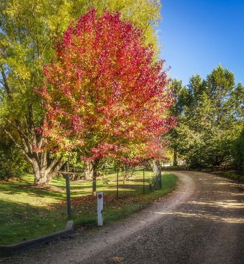 Bright Mystic Valley - Accommodation BNB 23