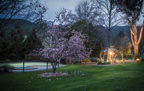 Bright Mystic Valley - Accommodation BNB 26