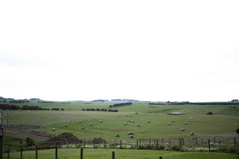 Stunning Waterfront Only 10 Minutes To Phillip Island - FREE EV UNIT 7kW For Electric Cars - Pet Friendly, Fireplace FREE WIFI Wine & Chocolates - Accommodation BNB 10