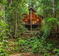 The Canopy Rainforest Treehouses  Wildlife Sanctuary - Accommodation BNB