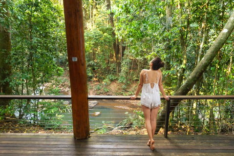 The Canopy Rainforest Treehouses & Wildlife Sanctuary - Accommodation BNB 3