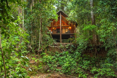 The Canopy Rainforest Treehouses & Wildlife Sanctuary - Accommodation BNB 0
