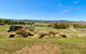 The Daydawn Dairy - Perched High, Simple Living & What A View! - thumb 1