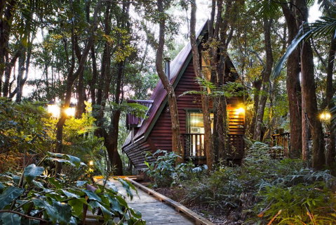 The Mouses House Rainforest Retreat - Accommodation BNB 1