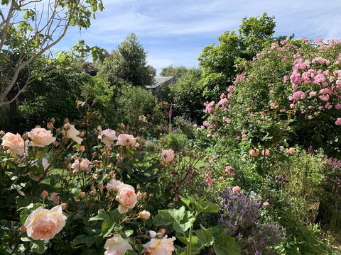The Racecourse Inn - Accommodation BNB 2