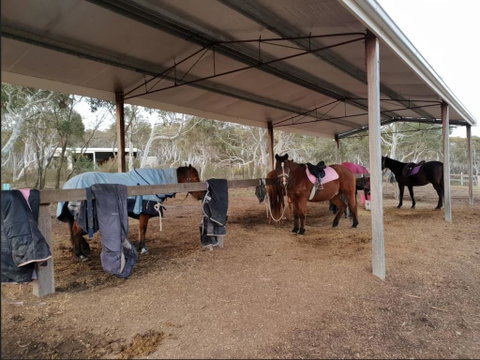 The Saddle Camp Tiny House, Braidwood - Accommodation BNB 1