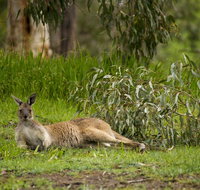 The Stirling Golf Club - Accommodation BNB