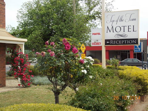 Top Of The Town Motel - Accommodation BNB 3