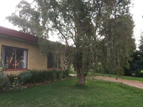 Tree Of Love Farm Stay - Accommodation BNB 1
