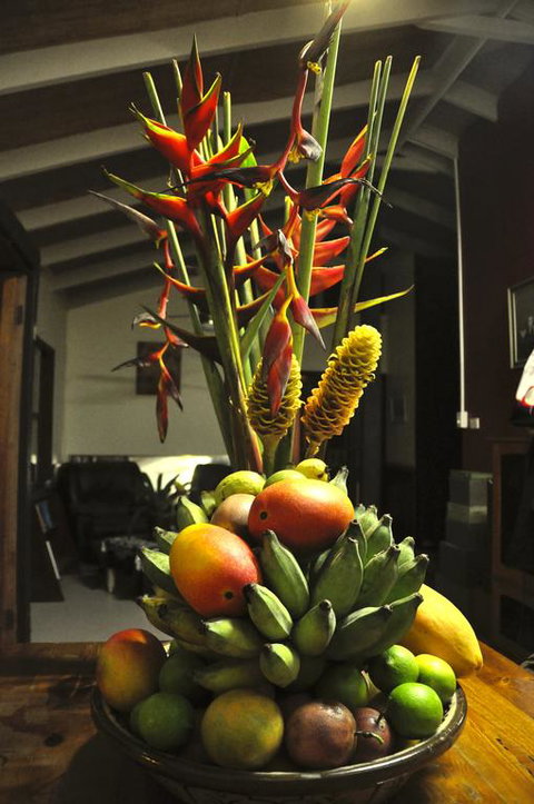 Tropical Bliss Bed And Breakfast - Accommodation BNB 3