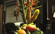 Tropical Bliss Bed And Breakfast - thumb 3