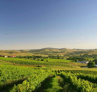 Turners Vineyard Motel - Accommodation BNB