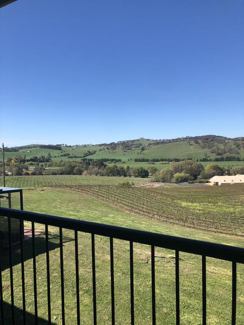 Turners Vineyard Motel - Accommodation BNB 2