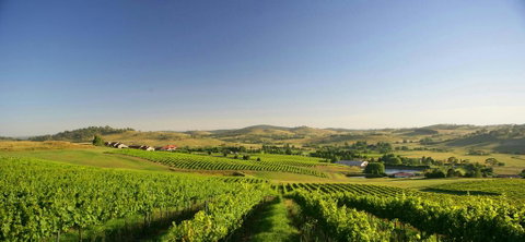 Turners Vineyard Motel - Accommodation BNB 0