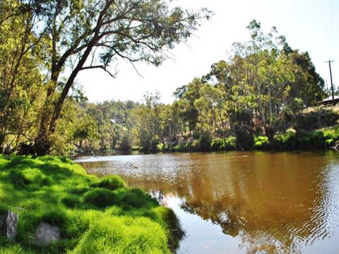 Tweed Valley Lodge - Accommodation BNB 1