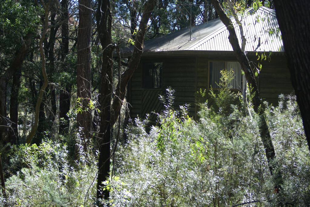 Fitzroy Falls NSW Accommodation BNB