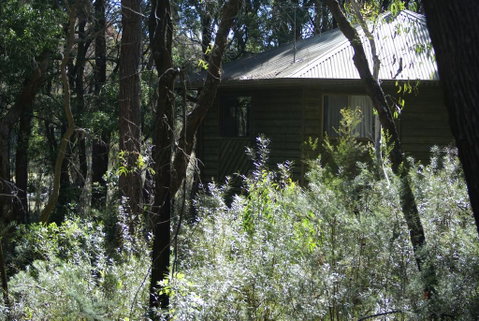 Twin Falls Bush Cottages - Accommodation BNB 0