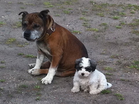 Walcha Royal Cafe & Accommodation - Accommodation BNB 3