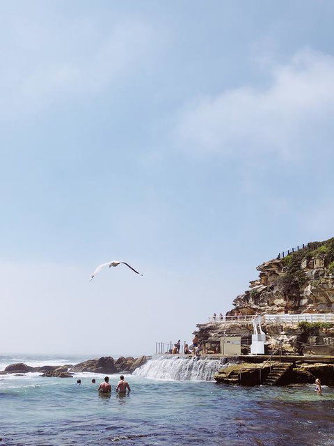 Walk To Beach From This Stylish Bronte Oasis W AC, Wifi And Free Parking - Accommodation BNB 3