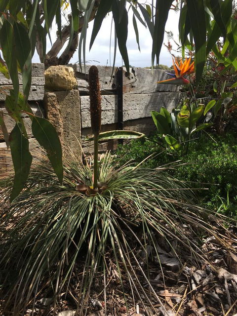 The PC Cottage - Accommodation BNB 32
