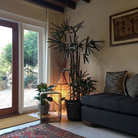 Be&be Castlemaine - Accommodation BNB 1