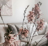Bed of Roses - Accommodation BNB