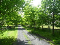 Book Wonga Park Accommodation Vacations Accommodation BNB Accommodation BNB