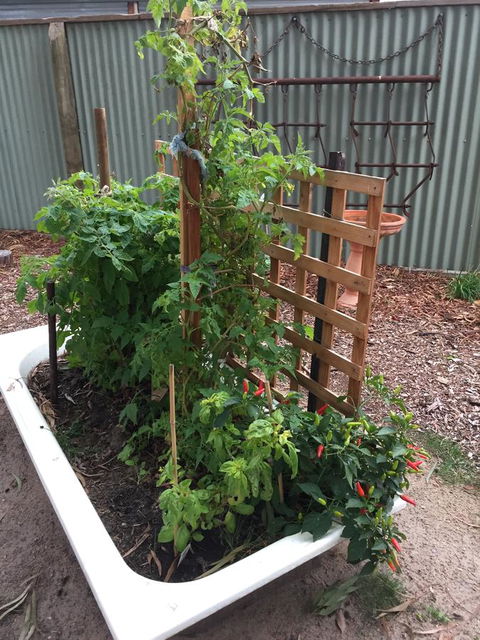 Grampians Pomonal Cottages - Accommodation BNB 28