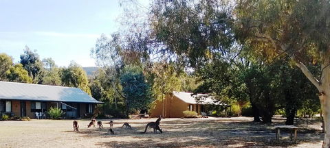 Grampians Pomonal Cottages - Accommodation BNB 6