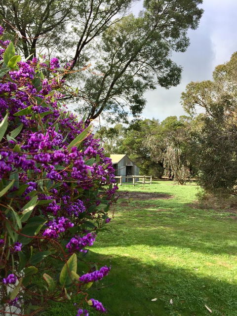 Grampians Pomonal Cottages - Accommodation BNB 21