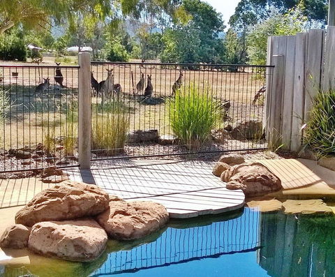 Grampians Pomonal Cottages - Accommodation BNB 24