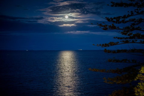 The Sebel Brisbane Margate Beach - Accommodation BNB 10