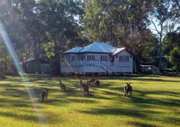 Book Peregian Beach Accommodation Vacations Accommodation BNB Accommodation BNB