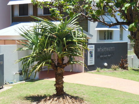 Whale Watch Ocean Beach Resort - Accommodation BNB 15