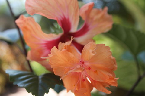 Amaroo On Mandalay, Magnetic Island - Accommodation BNB 34