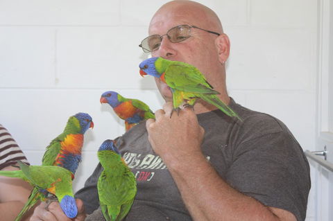 Amaroo On Mandalay, Magnetic Island - Accommodation BNB 33