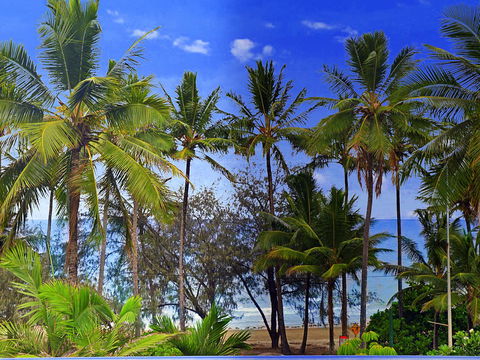 By The Sea Port Douglas - Accommodation BNB 3