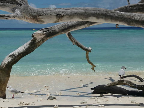 Beach Club Port Douglas Luxury Apartments - Accommodation BNB 23