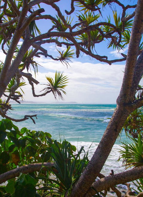 Rainbow Bay Backpackers - Accommodation BNB 26