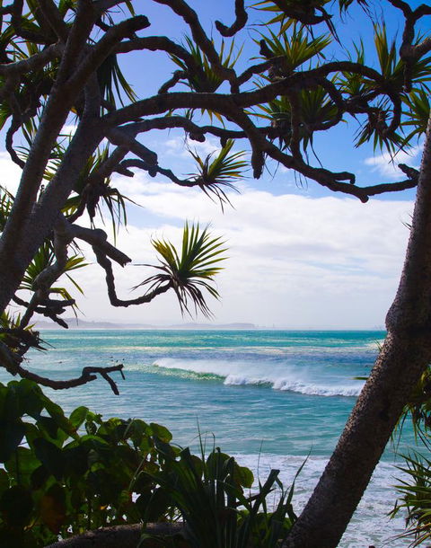 Rainbow Bay Backpackers - Accommodation BNB 25