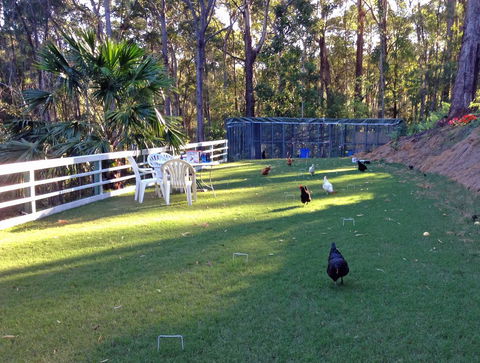 Noosa Hinterland Retreat - Accommodation BNB 11