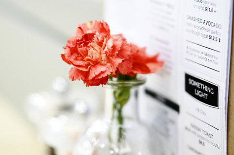 Madison Plaza Townsville - Accommodation BNB 20
