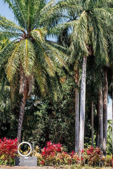 Oaks Port Douglas Resort - Accommodation BNB 40