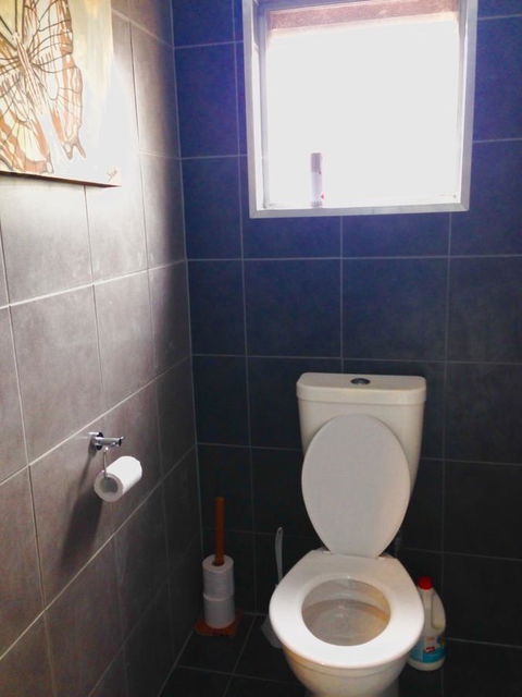 XYL Pets Friendly Seaside Boutique Guesthouse - Accommodation BNB 5