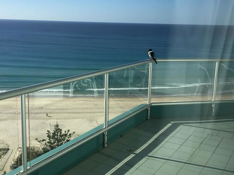 Ocean Plaza Resort - Accommodation BNB 28