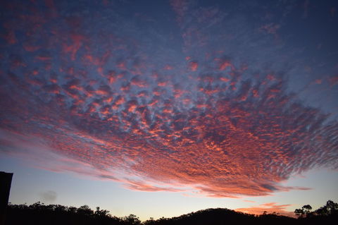 Ironbark House - Accommodation BNB 6