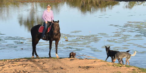 Ironbark House - Accommodation BNB 39