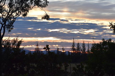 Ironbark House - Accommodation BNB 40