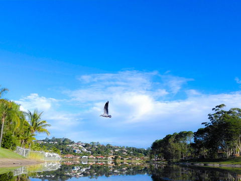 Bay Of Palms - Accommodation BNB 18